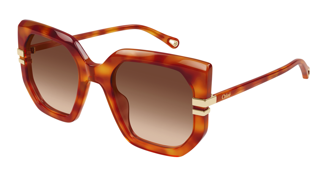 Gafas de sol chloé ch0240s 007 havana geometric femenino talla 53mm - Vista principal