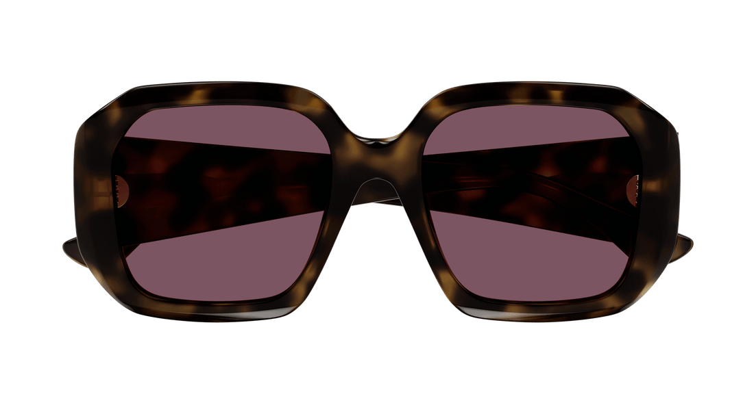 CHLOÉ CH0300S 002 54