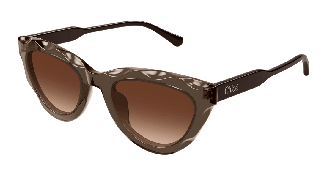 Lunettes de soleil chloé ch0294s 003 marron cat eye femenino taille 52mm - Vue principale