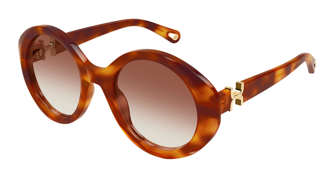 Gafas de sol chloé ch0332s 003 havana round/oval/panthos femenino talla 53mm - Vista principal