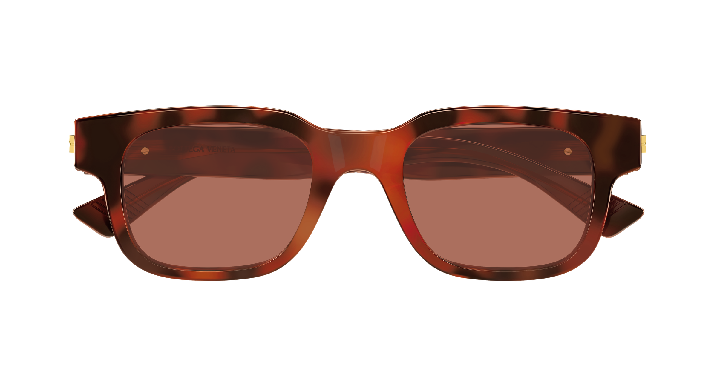 Bottega Veneta BV1411S 002 49