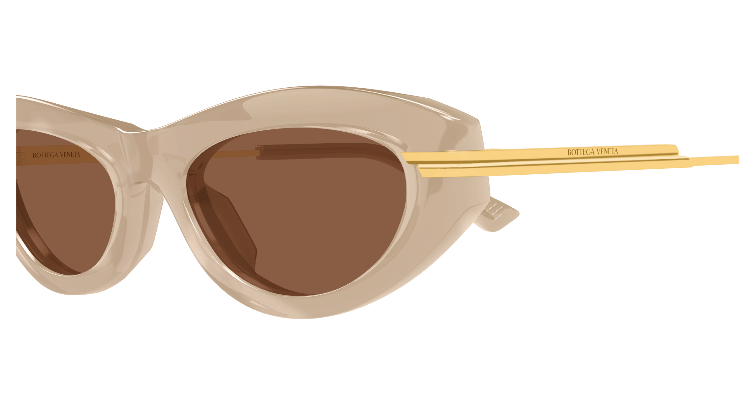 Bottega Veneta BV1368S 005 53