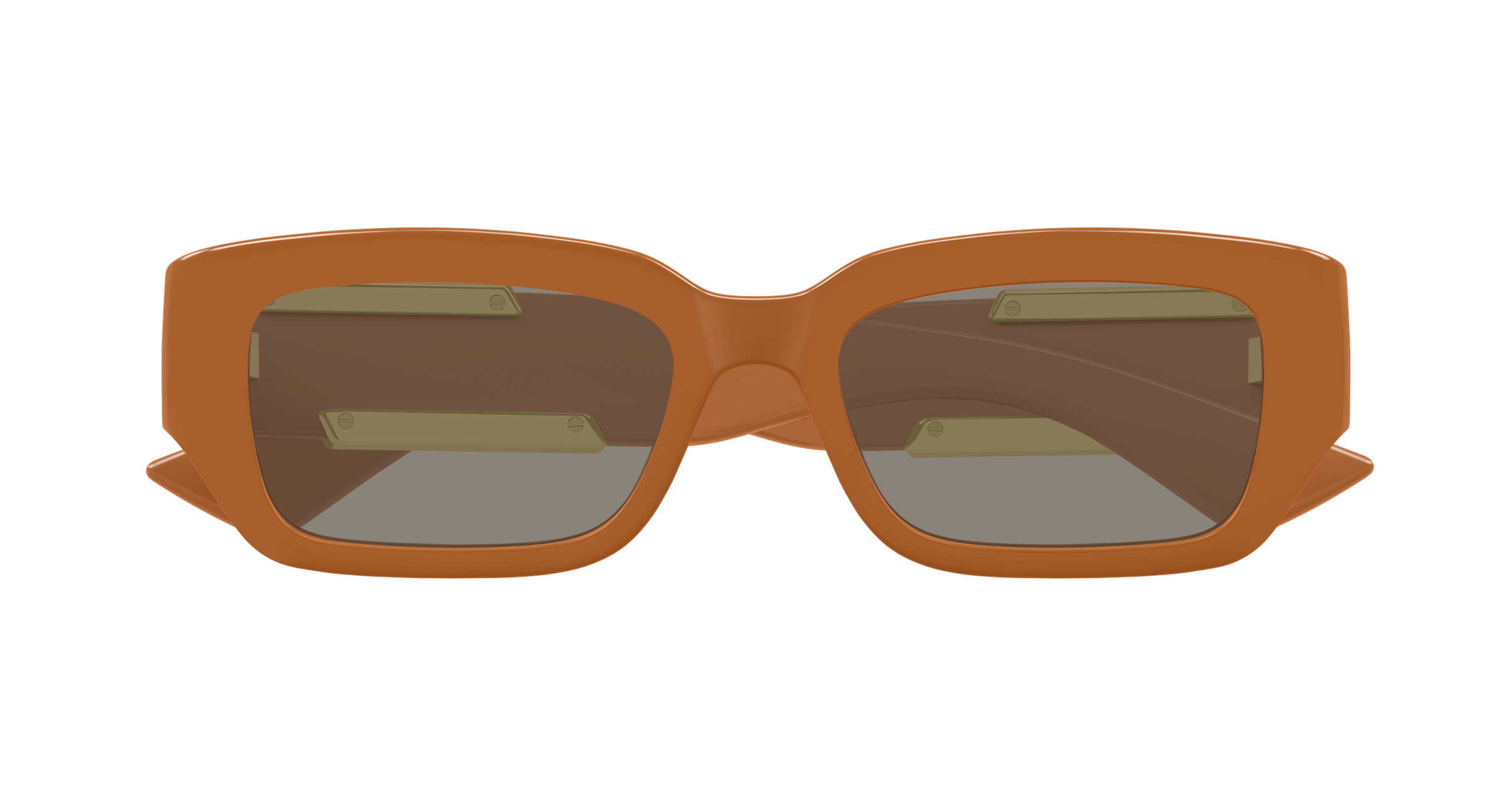 Bottega Veneta BV1406S 004 53