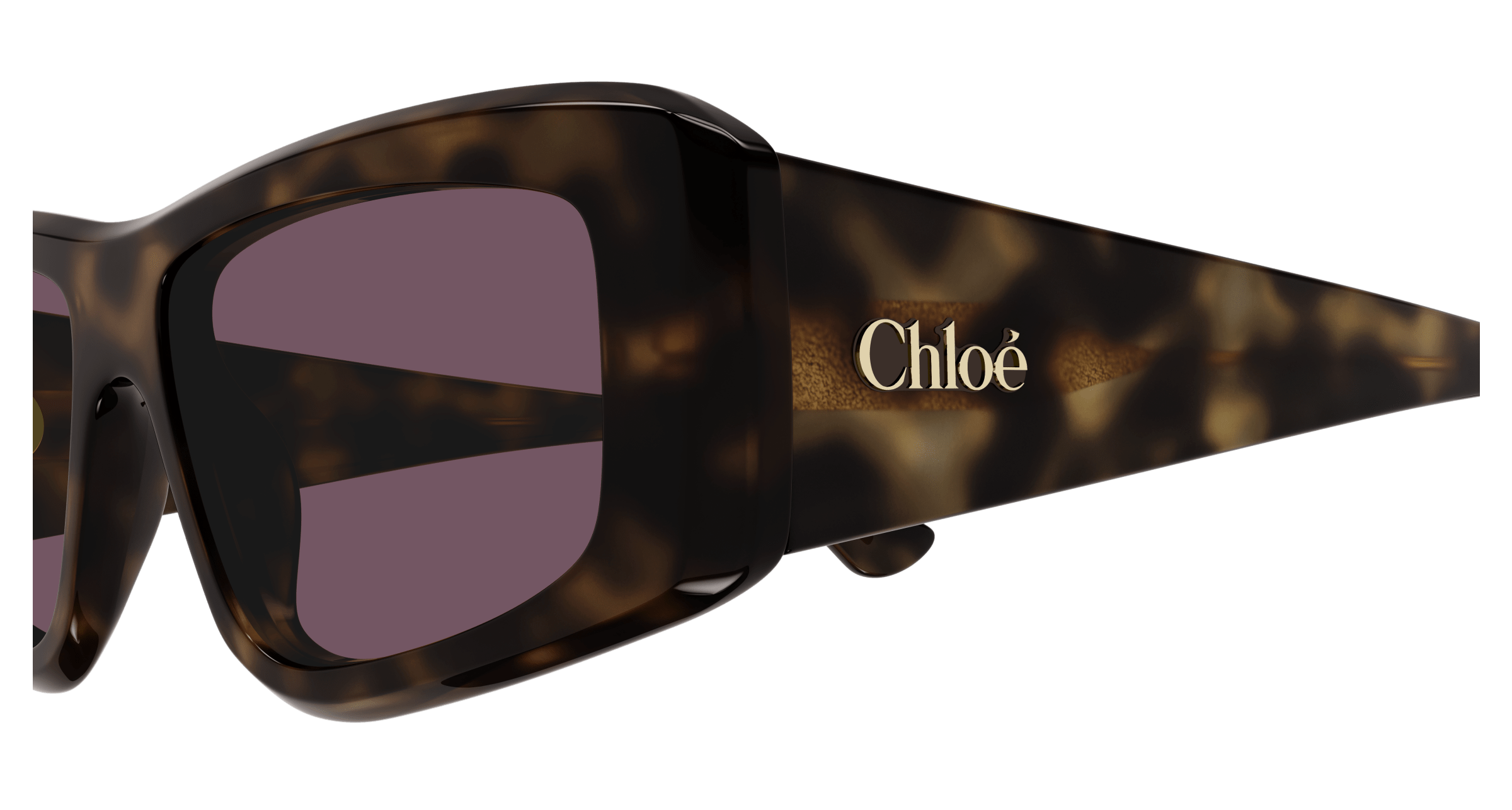CHLOÉ CH0299S 002 55