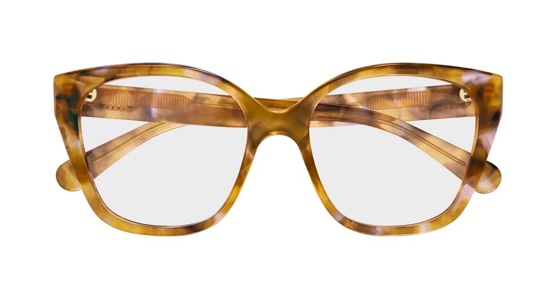 Prescription glasses chloé ch0241o 006 havana cat eye femenino size 53mm - Detailed view