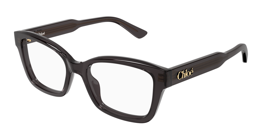Prescription glasses chloé ch0380o 001 gris cat eye femenino size 51mm - Main view