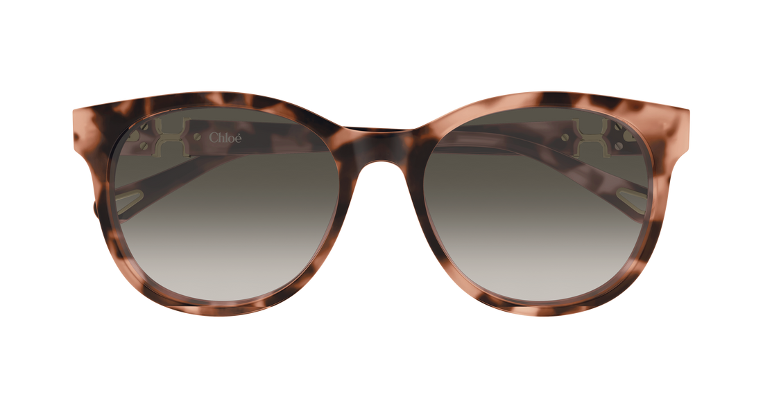 Sonnenbrillen chloé ch0375sk 002 havana round/oval/panthos femenino größe 56mm - Detailansicht