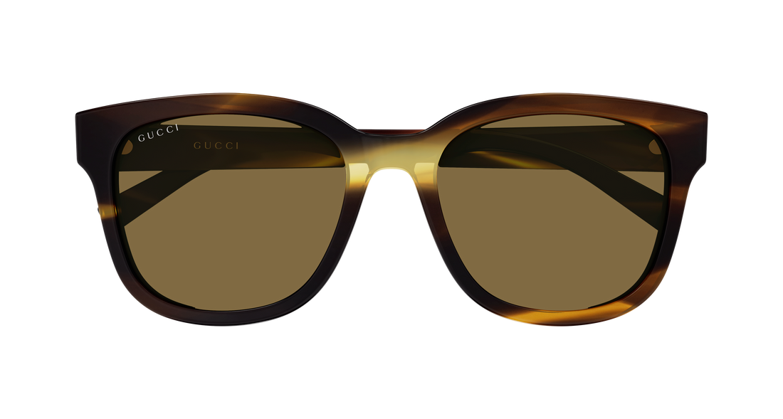 Óculos de sol gucci gg2126sk 003 havana round/oval/panthos femenino tamanho 55mm - Vista de detalhe