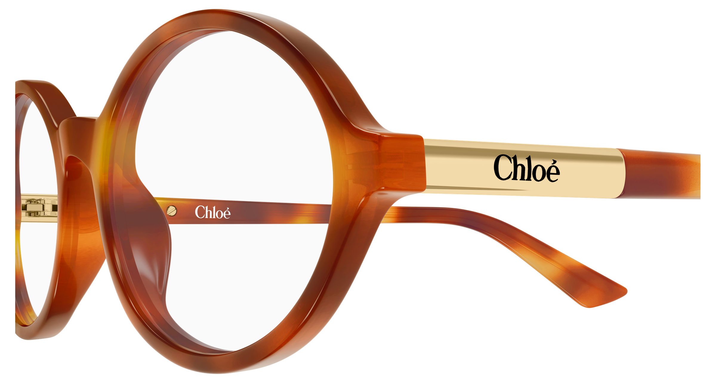CHLOÉ CH0367O 002 54