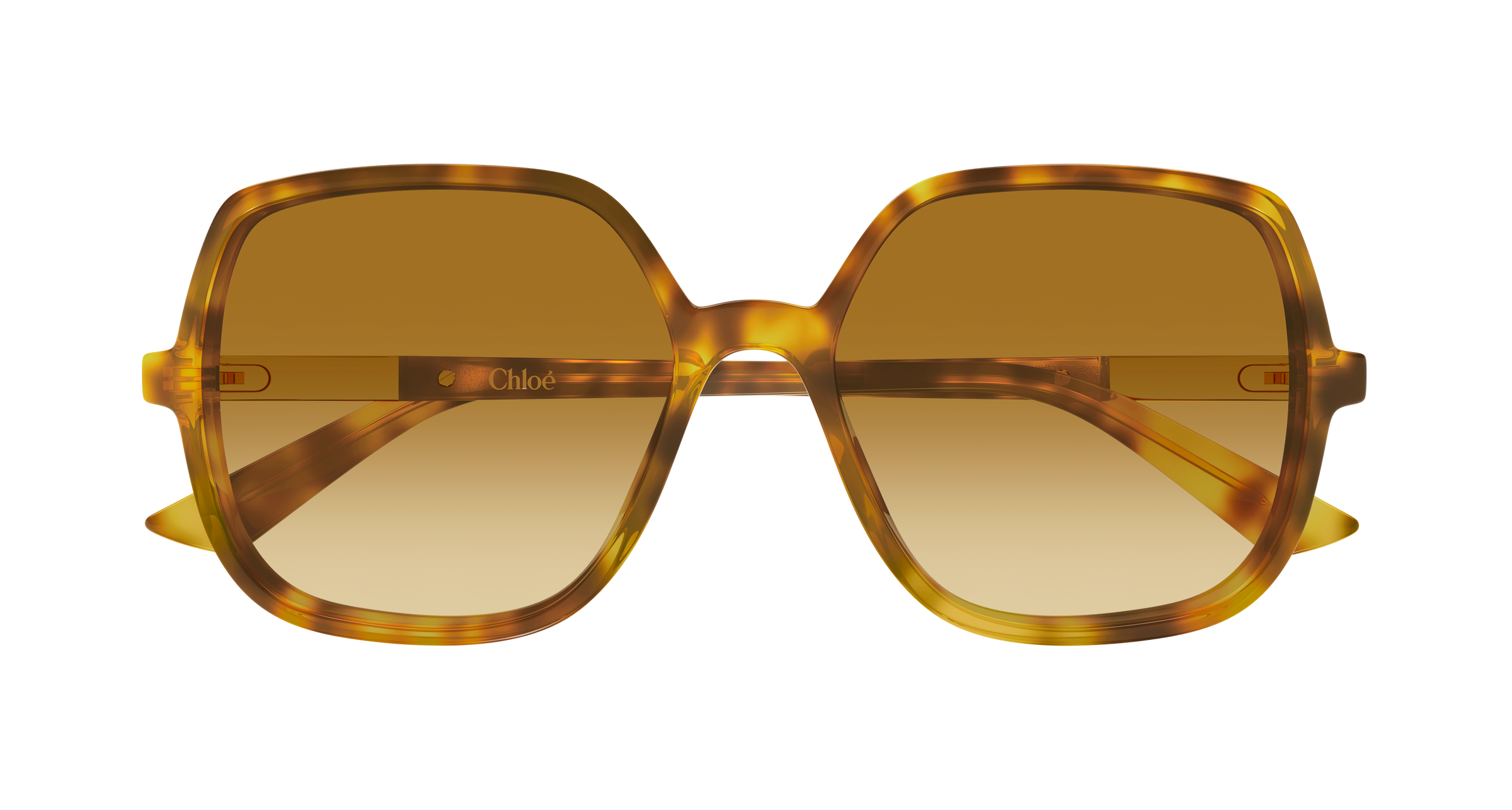 CHLOÉ CH0362S 004 55