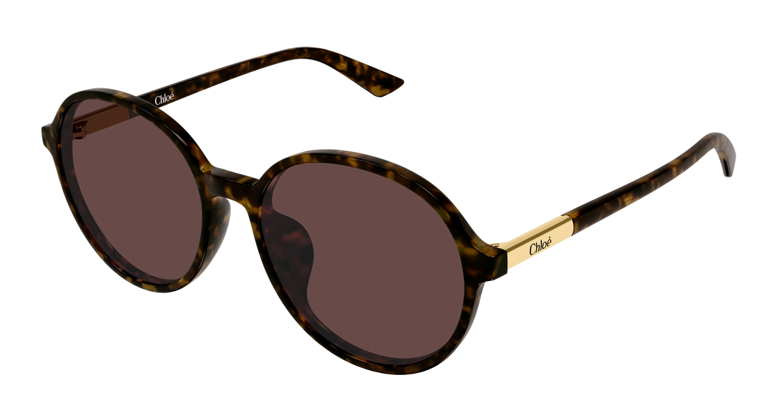 Sonnenbrillen chloé ch0365sk 002 havana round/oval/panthos femenino größe 57mm - Hauptansicht