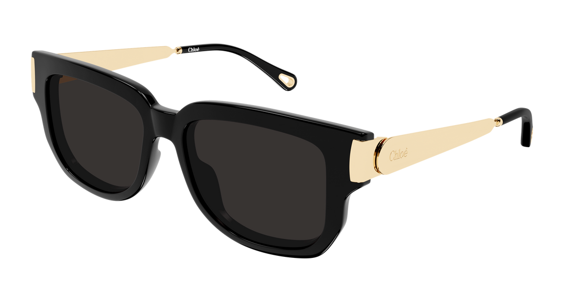 Sonnenbrillen chloé ch0351s 001 negro rectangular / squared femenino größe 54mm - Hauptansicht