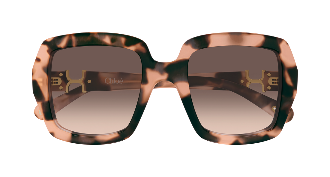 Sonnenbrillen chloé ch0301s 006 havana rectangular / squared femenino größe 52mm - Detailansicht