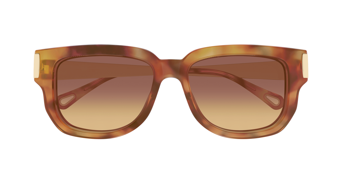 Sonnenbrillen chloé ch0351s 002 havana rectangular / squared femenino größe 54mm - Detailansicht