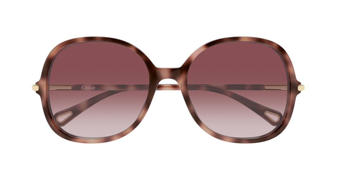 Sonnenbrillen chloé ch0383s 004 havana round/oval/panthos femenino größe 57mm - Detailansicht