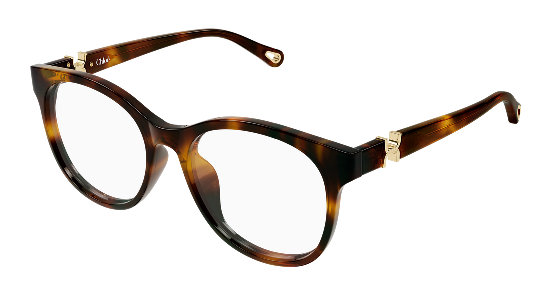 Brillen chloé ch0375o 002 havana round/oval/panthos femenino größe 54mm - Hauptansicht