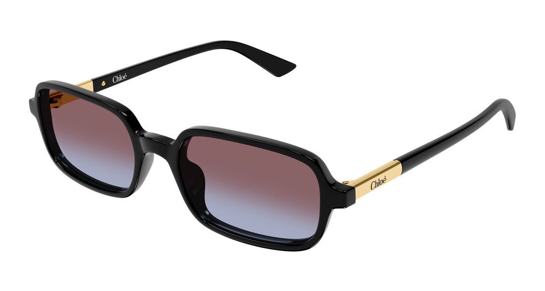 Lunettes de soleil chloé ch0363s 001 negro rectangular / squared femenino taille 53mm - Vue principale