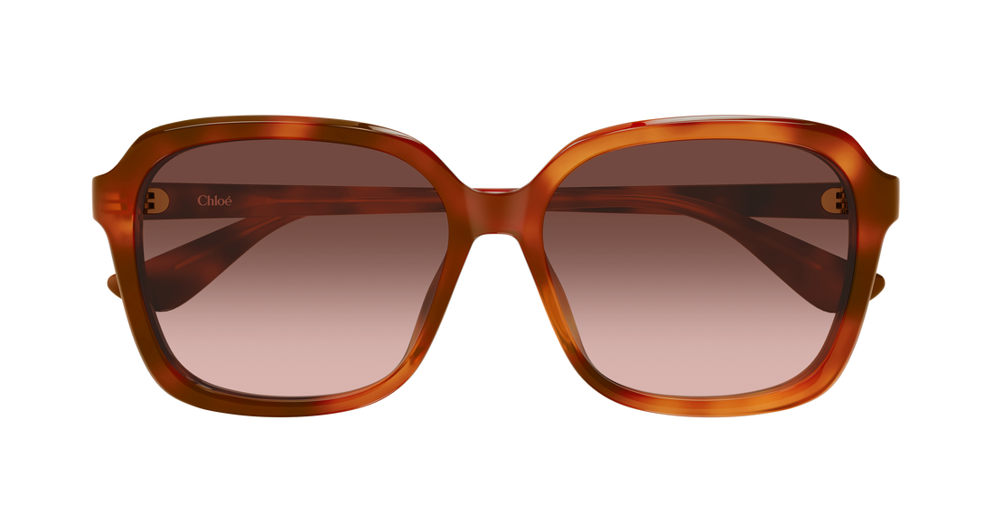 Sonnenbrillen chloé ch0390sk 002 havana rectangular / squared femenino größe 59mm - Detailansicht