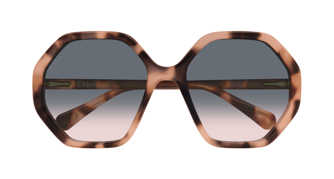 Sonnenbrillen chloé cc0004s 009 havana geometrical/directional infantil größe 51mm - Detailansicht