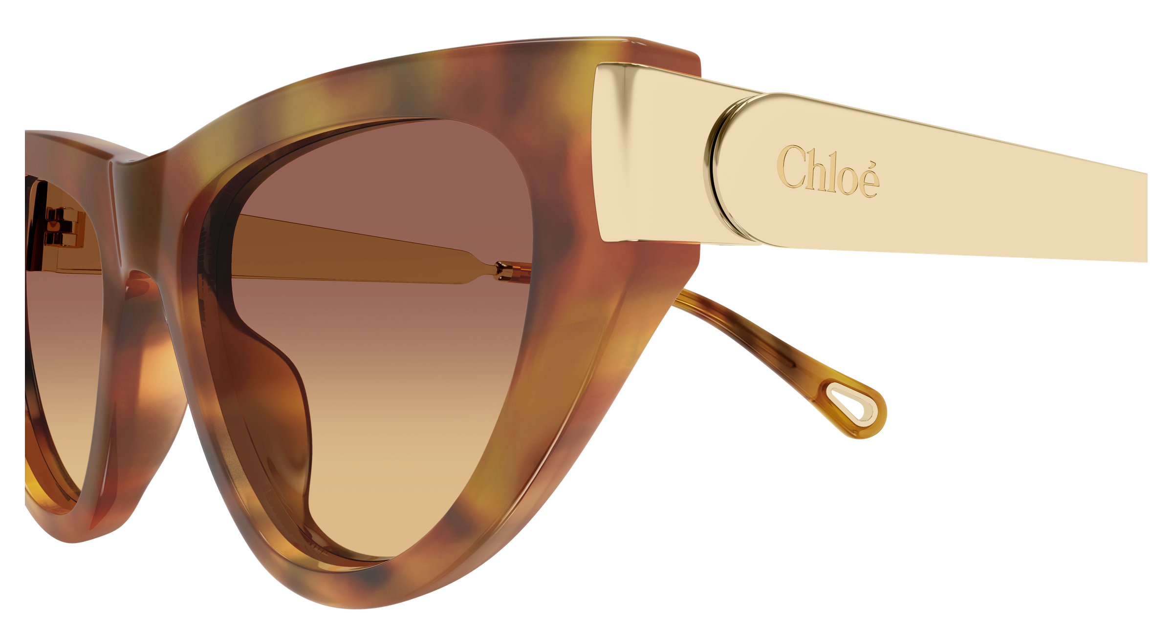CHLOÉ CH0350S 002 54