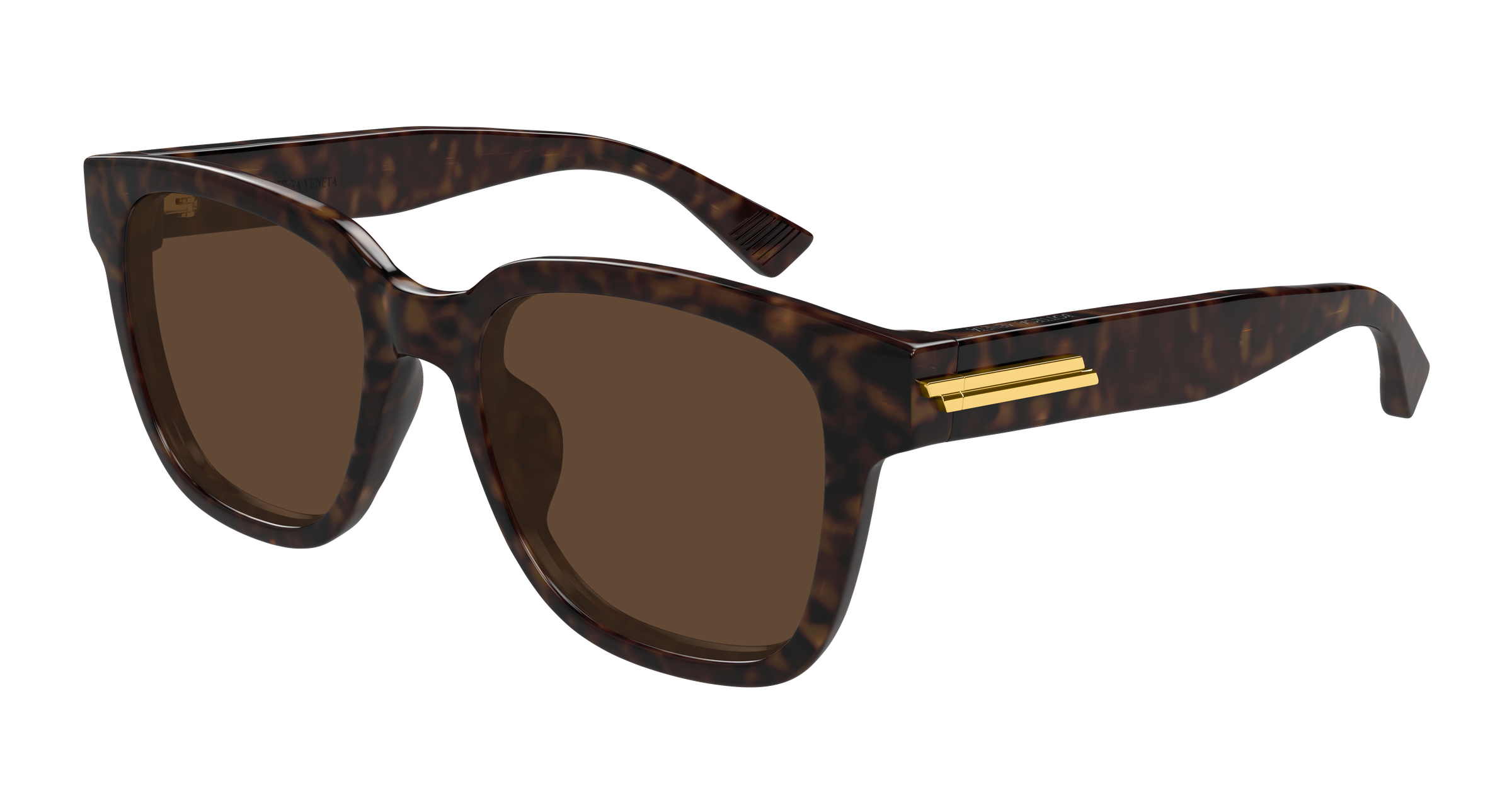 Bottega Veneta BV1461SK 002 54