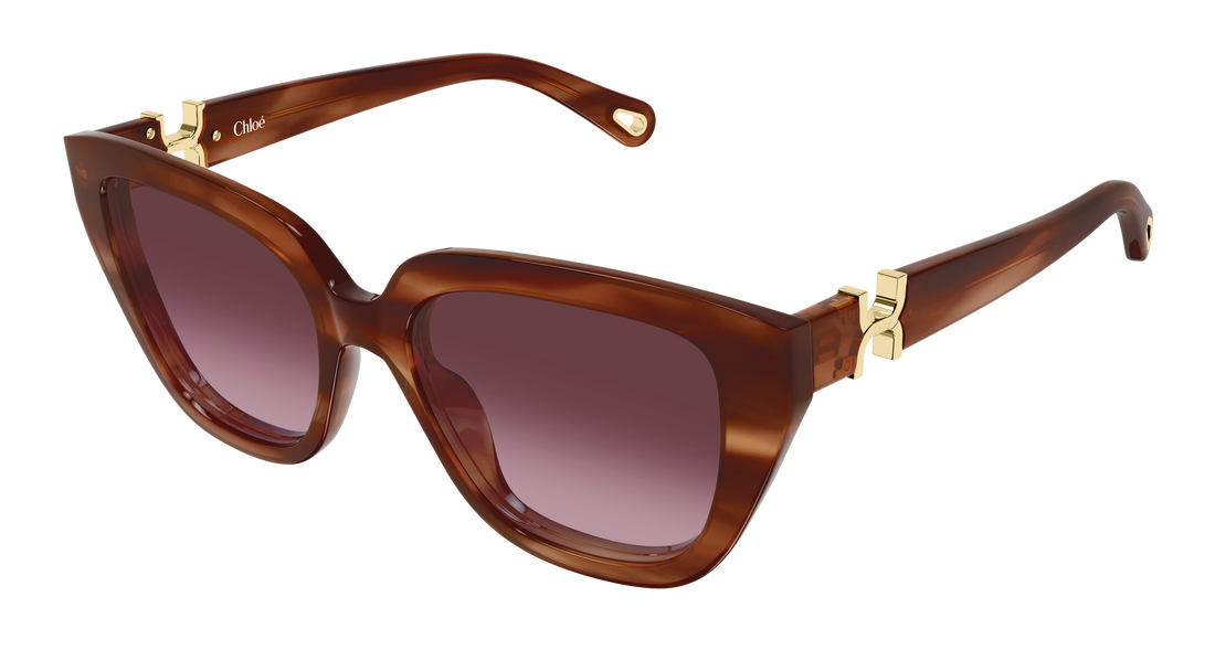 Lunettes de soleil chloé ch0410s 003 havana cat eye femenino taille 53mm - Vue principale
