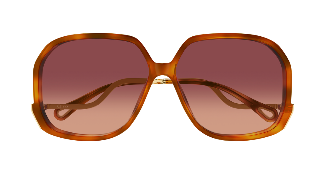 Sonnenbrillen chloé ch0404s 001 havana geometrical/directional femenino größe 60mm - Detailansicht