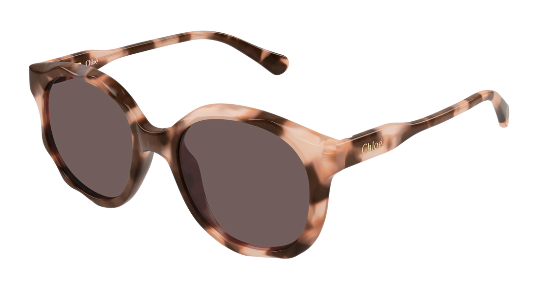 Lunettes de soleil chloé cc0019s 006 havana round/oval/panthos infantil taille 47mm - Vue principale