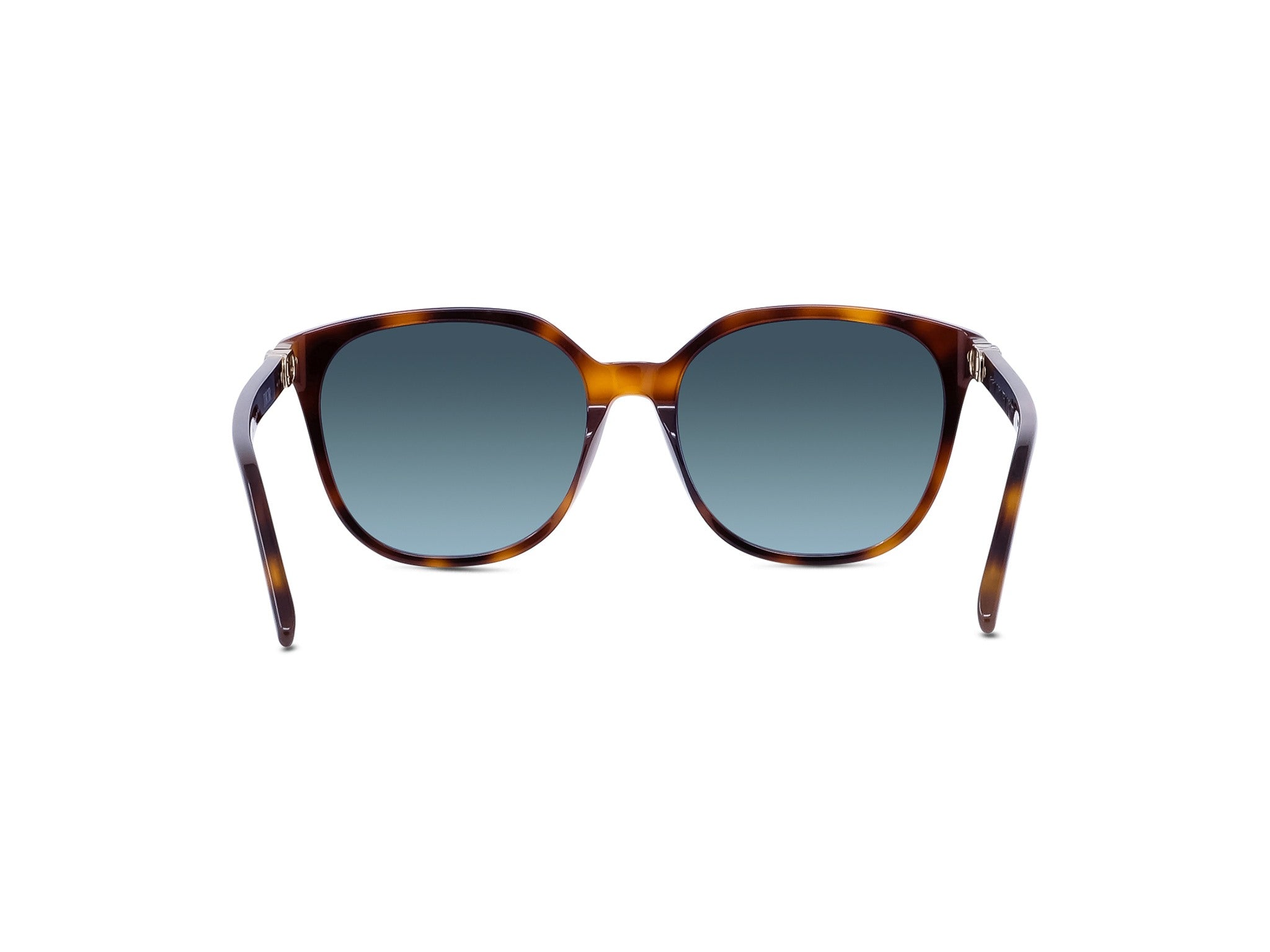 DIOR 30MONTAIGNEMINI SI 26B1 58