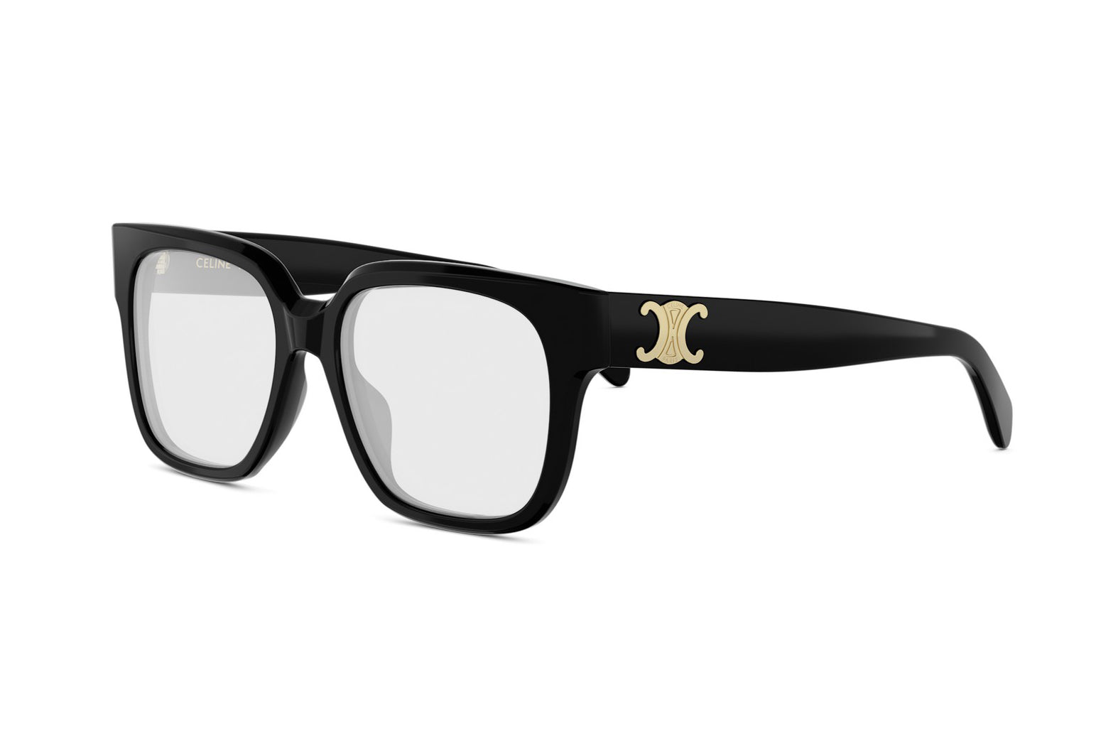CELINE TRIOMPHE CL50172I 001 54