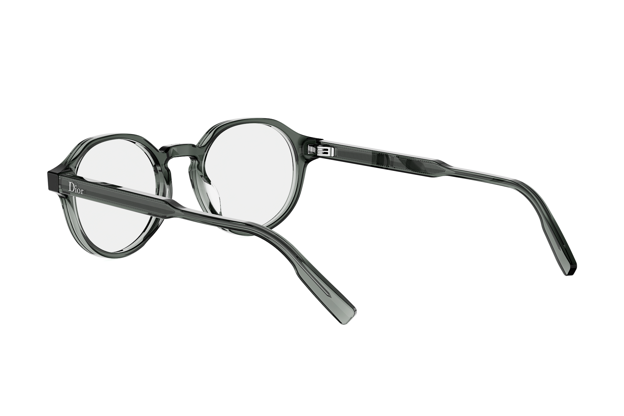 DIORIBBONO R1I 4500 49