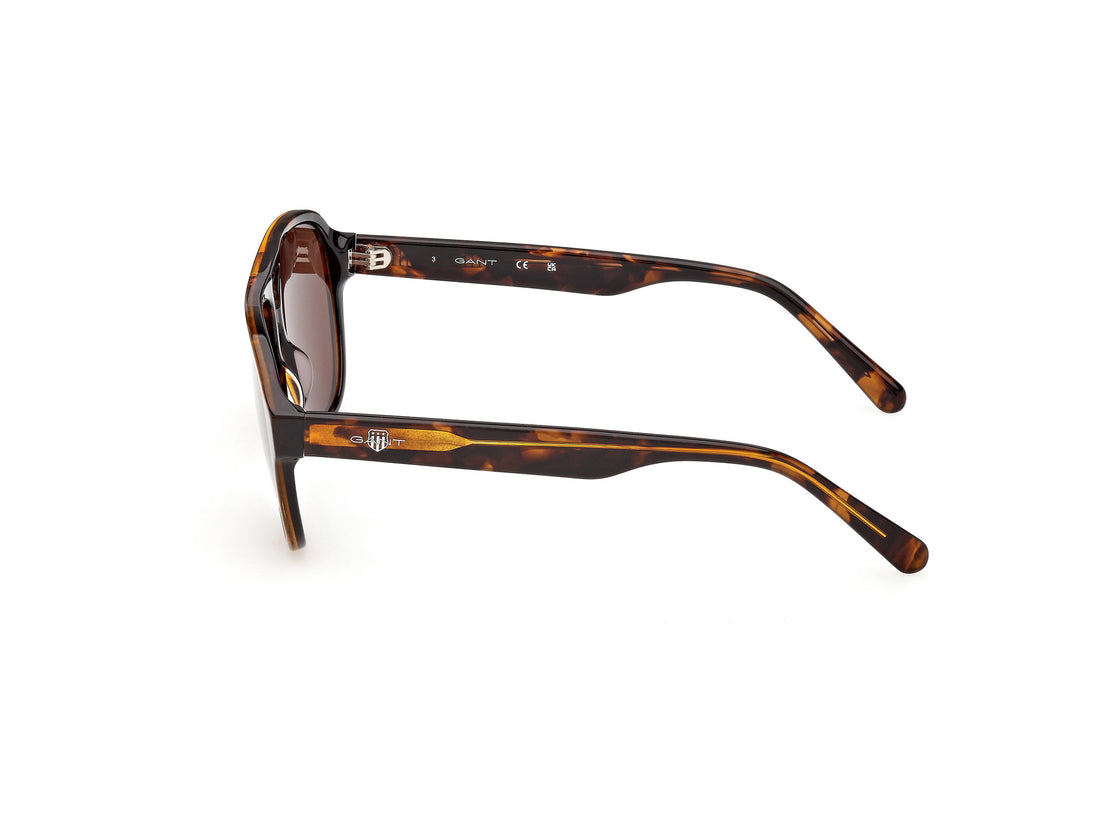 Occhiali da sole gant ga00037 52e havana pilot masculino taglia 56mm - Vista dettagliata