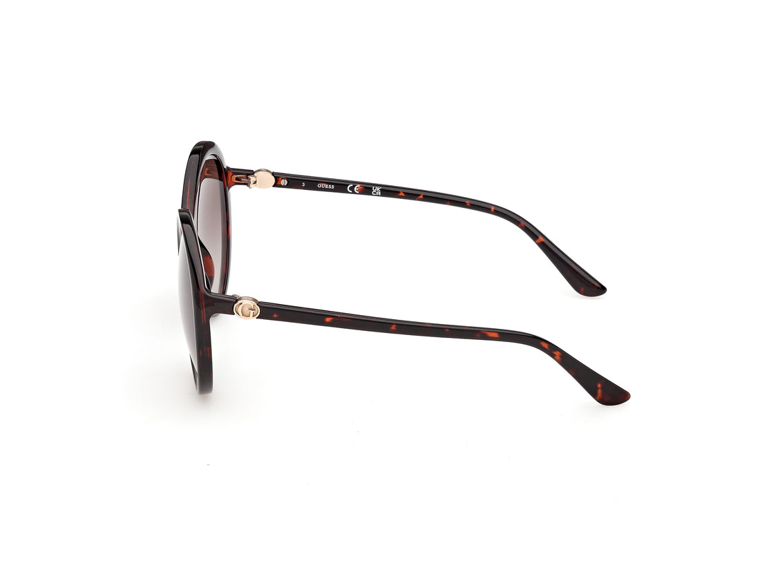 Occhiali da sole guess gu00281 52f havana round femenino taglia 55mm - Vista dettagliata