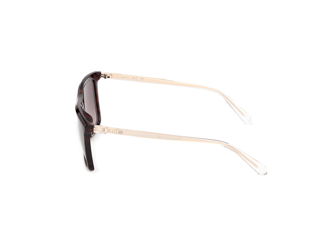 Óculos de sol guess gu00313 52f havana square masculino tamanho 55mm - Vista de detalhe