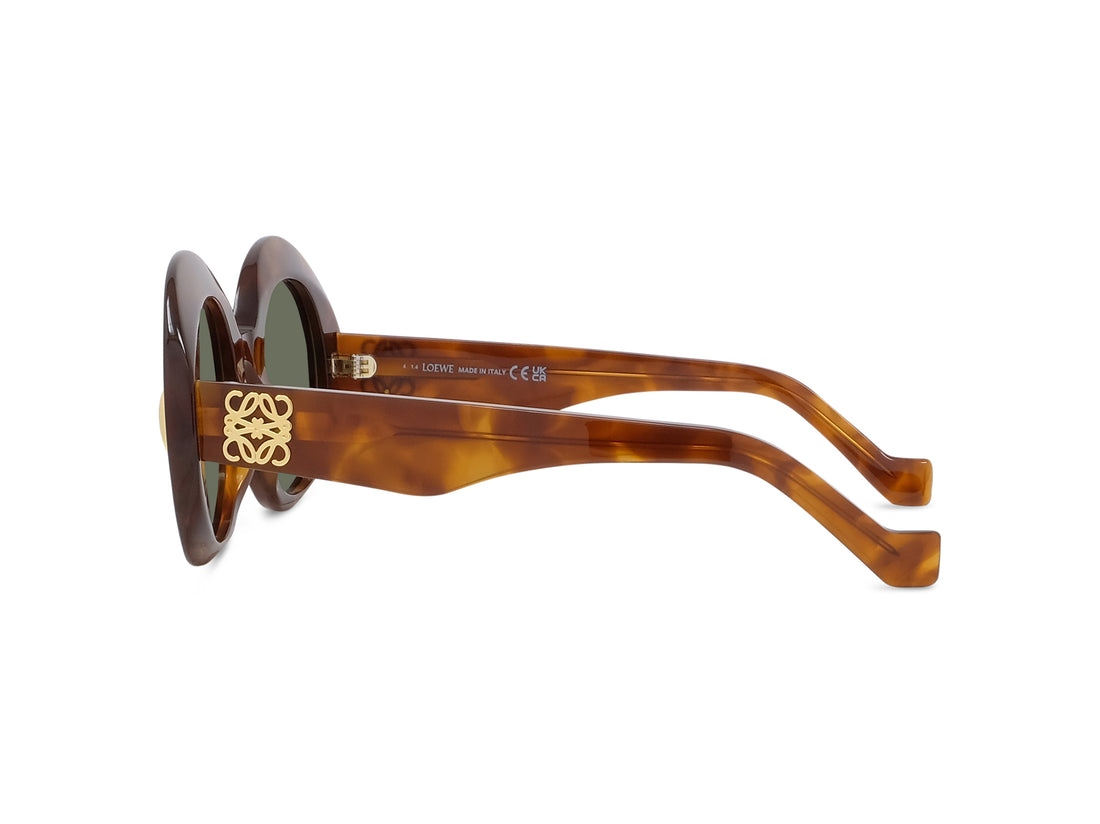 Óculos de sol loewe anagram lw40146i 53n havana oval femenino tamanho 50mm - Vista de detalhe