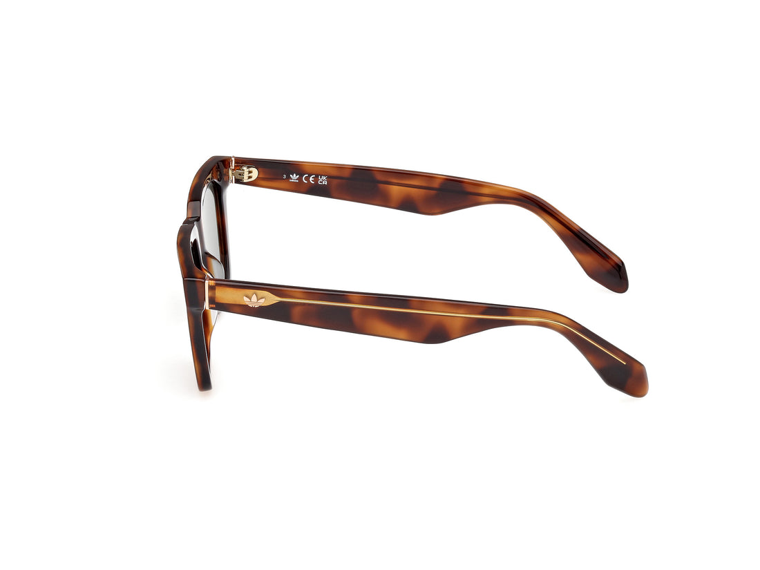 Gafas de sol adidas originals or0110 52n havana masculino talla 51mm - Vista de detalle