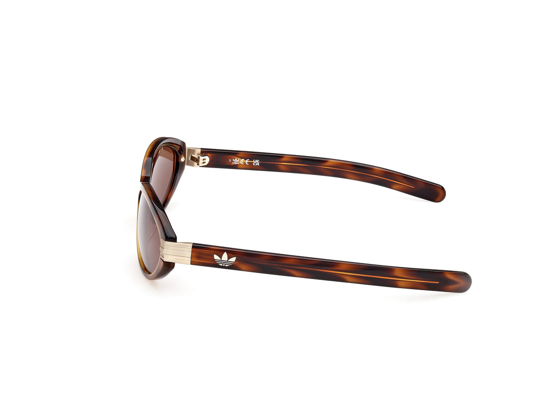 Occhiali da sole adidas originals or0129 52e havana oval unisex taglia 59mm - Vista dettagliata