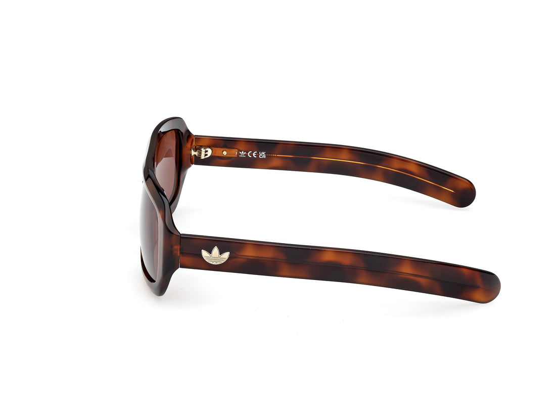 Occhiali da sole adidas originals or0131 52e havana navigator unisex taglia 58mm - Vista dettagliata