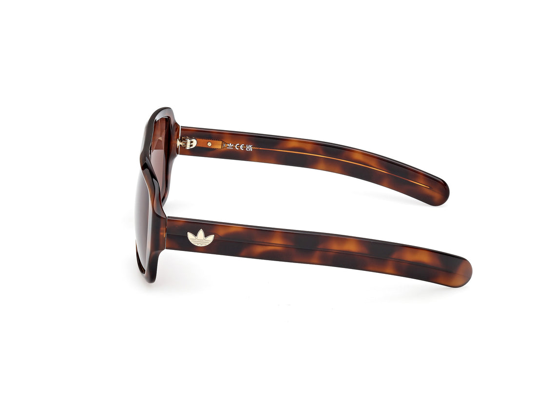Occhiali da sole adidas originals or0132 52e havana square unisex taglia 57mm - Vista dettagliata