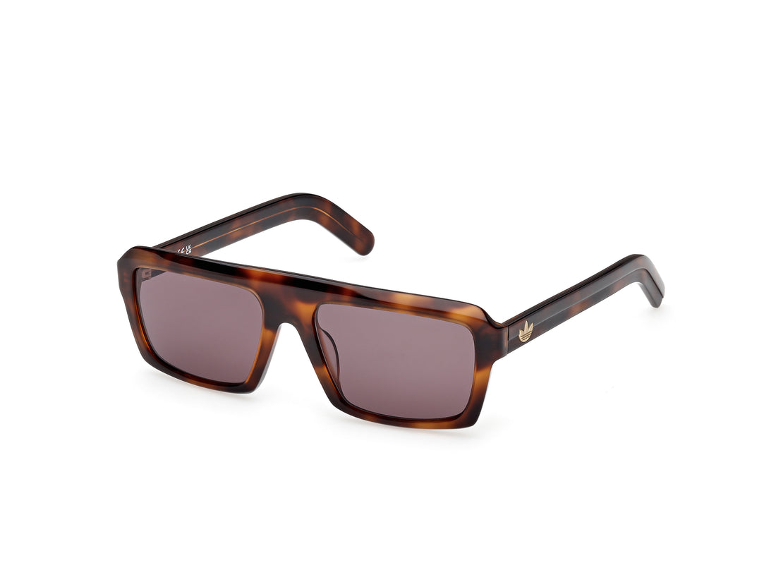 Occhiali da sole adidas originals or0133 52e havana square unisex taglia 55mm - Vista principale