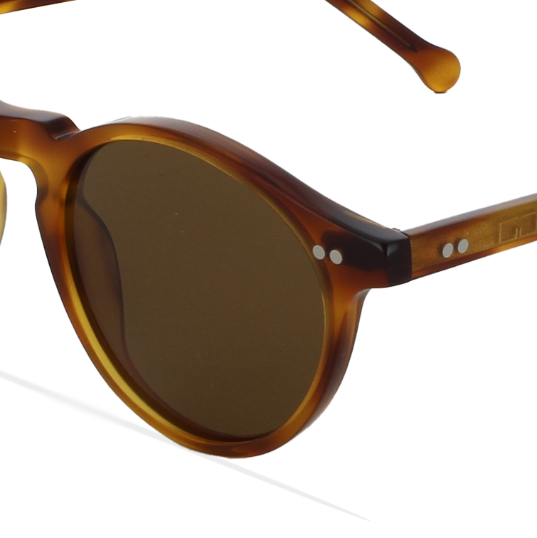 GREYHOUNDERS ROBIN BROWN 47