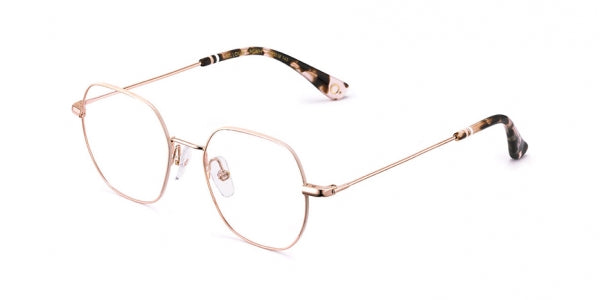 Brillen etnia barcelona st.louis pgwh unisex größe 48mm - Hauptansicht