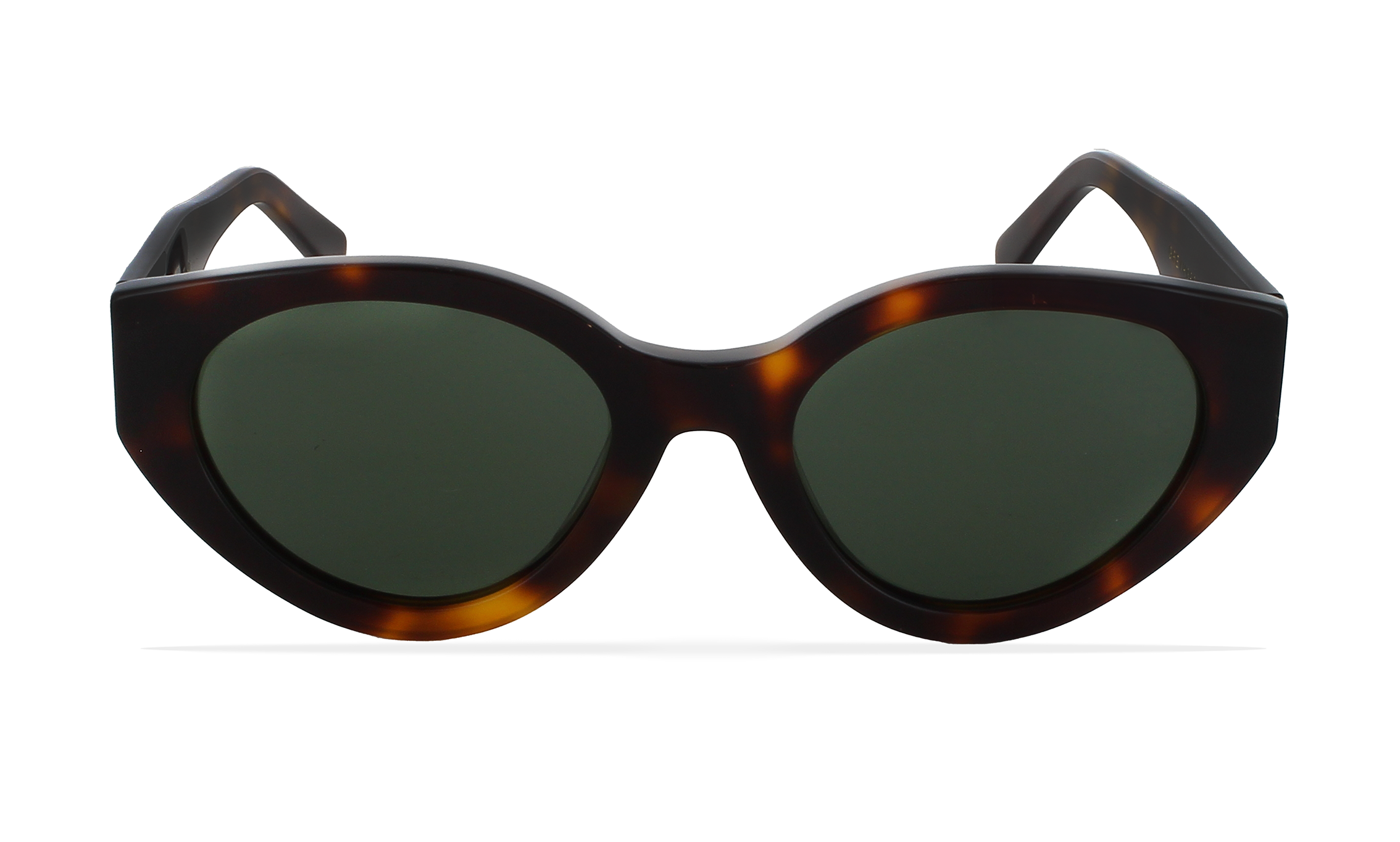 GREYHOUNDERS SIROCO HAVANA 51