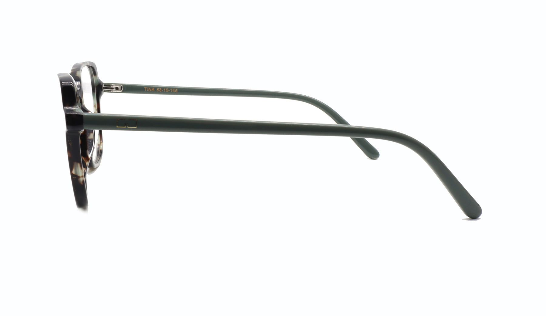 GREYHOUNDERS TINA C2 53