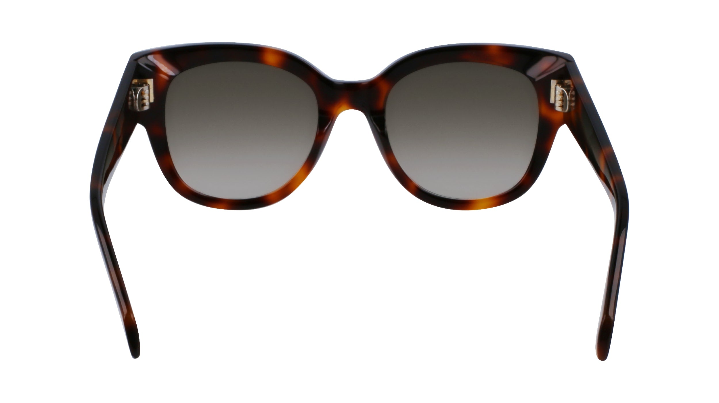 FERRAGAMO SF2007S 240 51