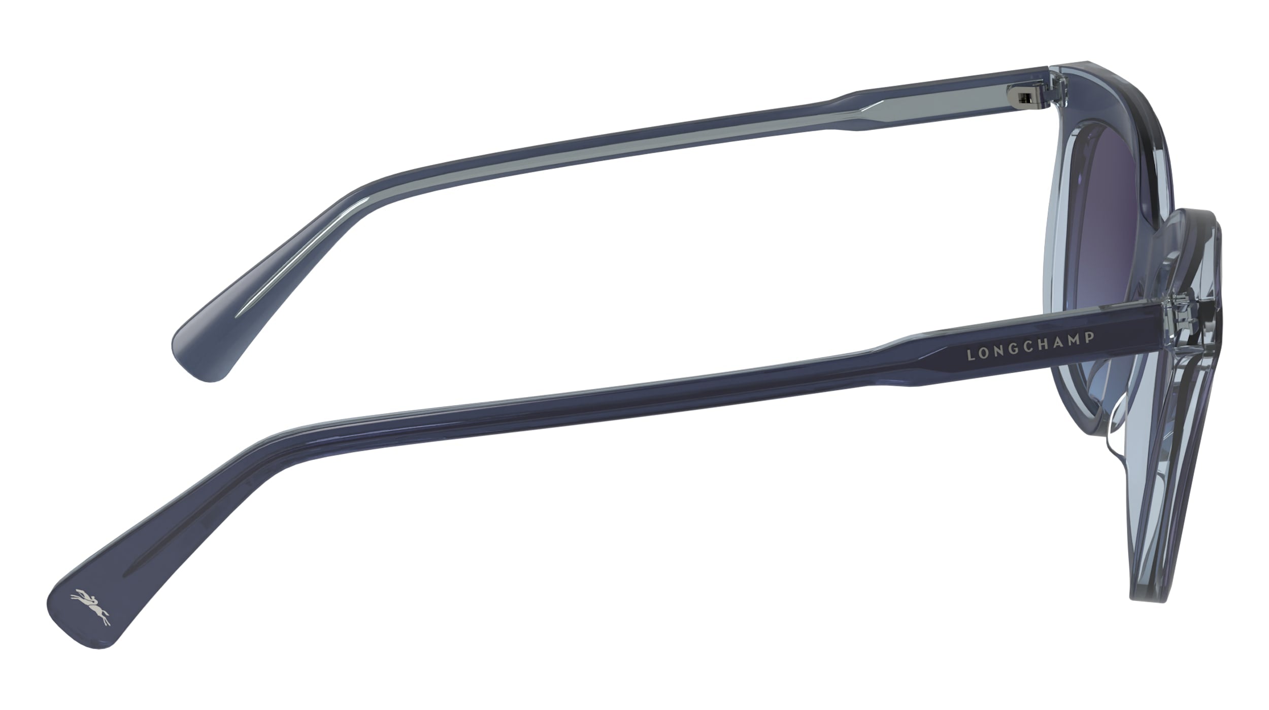 LONGCHAMP LO738S 405 53