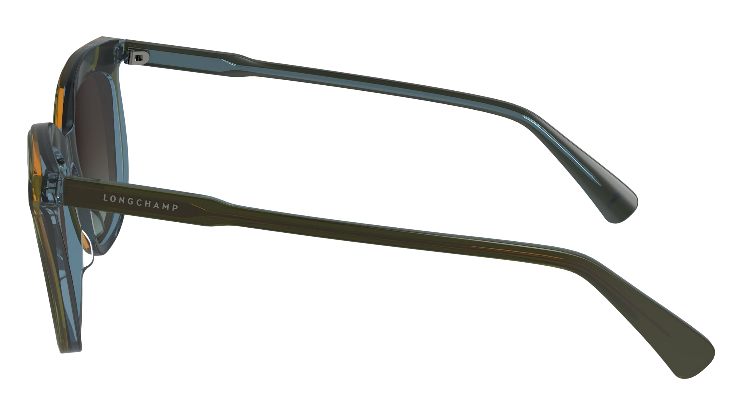 LONGCHAMP LO738S 310 53