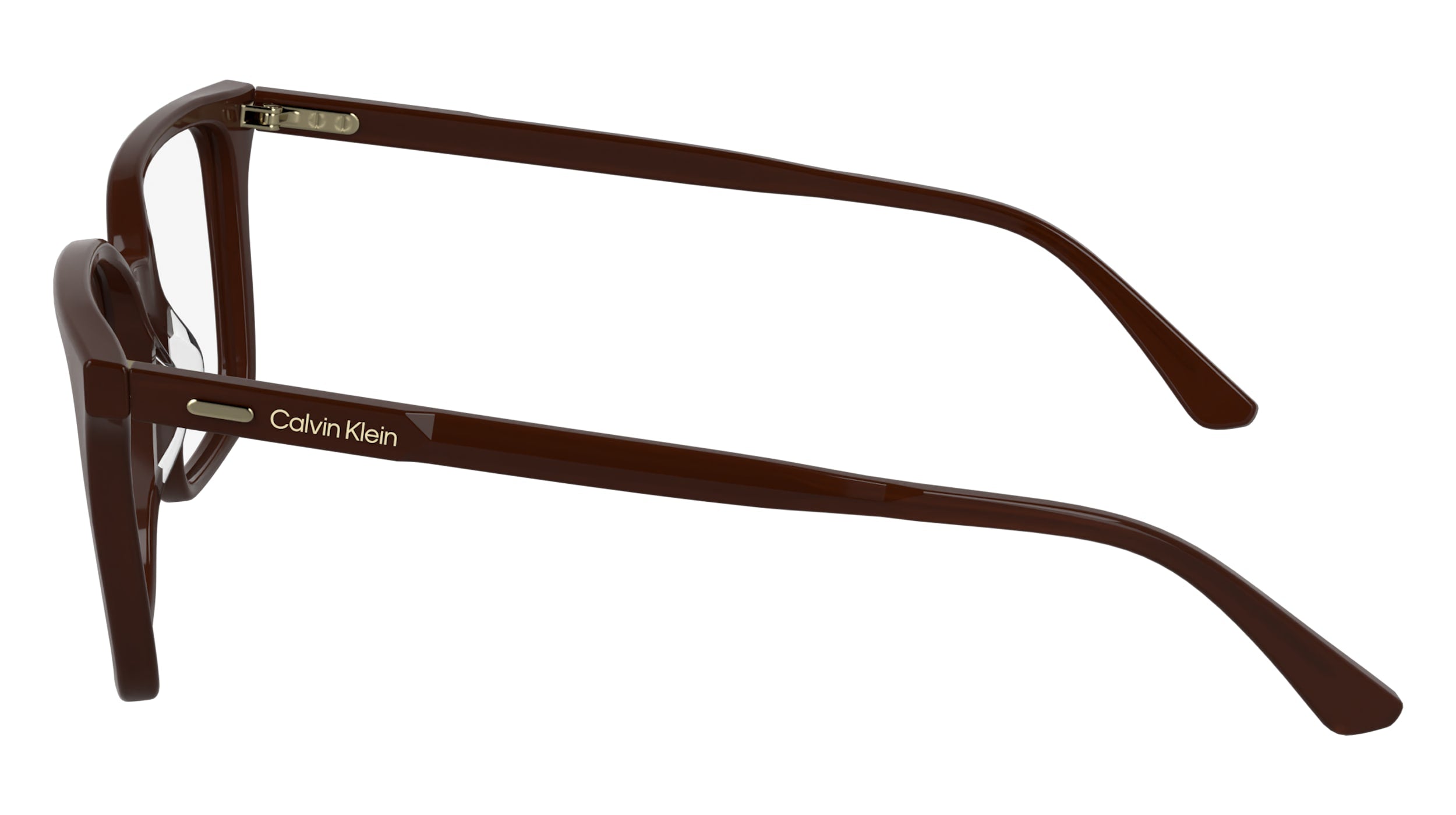 CALVIN KLEIN CK24544 601 55