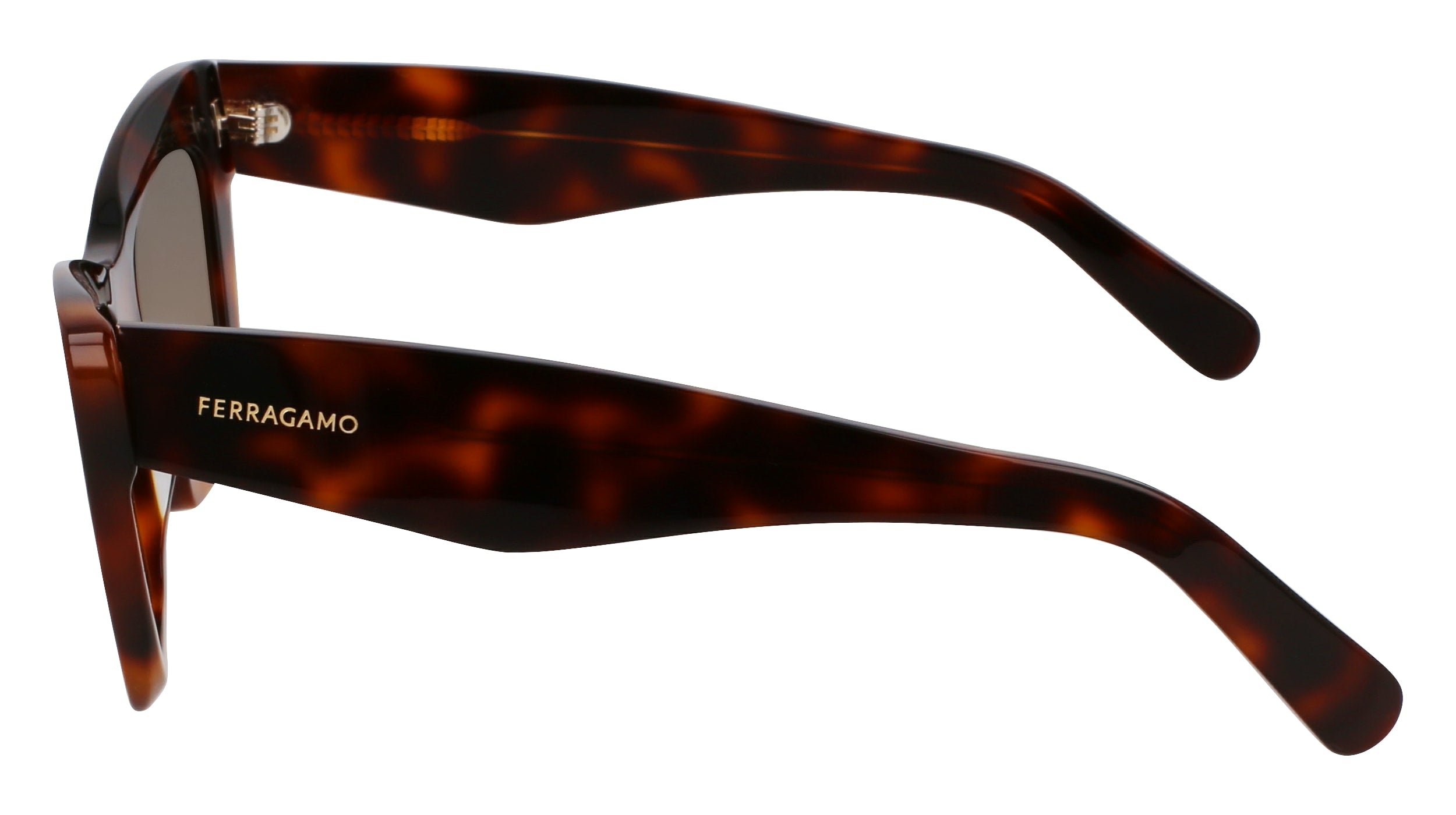 FERRAGAMO SF929SN 219 55