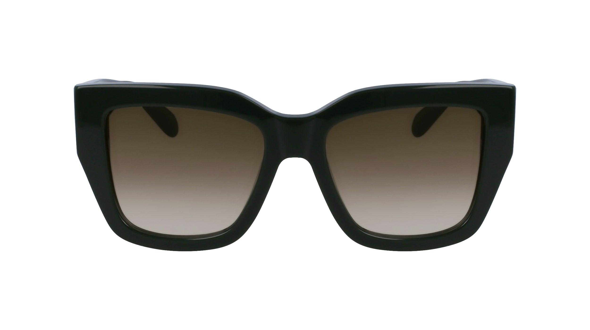 FERRAGAMO SF1104S 302 55